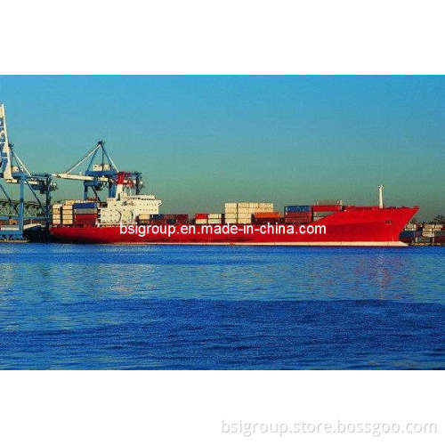 Container Shipping From China to Worldwide